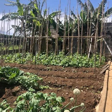 Crystal House Dom wakacyjny Calheta (Madeira)