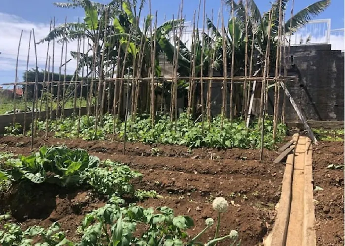 Crystal House Tatil Evi Calheta (Madeira)